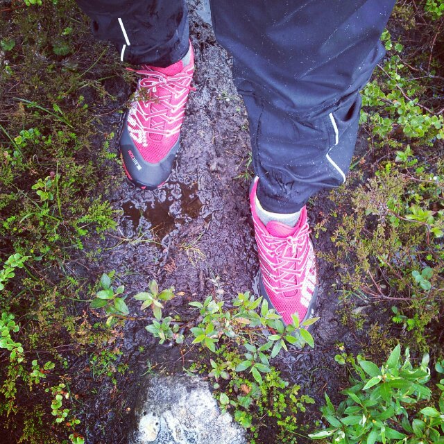 Blöta Inov-8 Roclite 285.